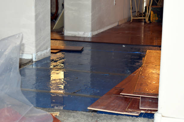 Professional Basement Flood Cleanup technician working in Athens, WI